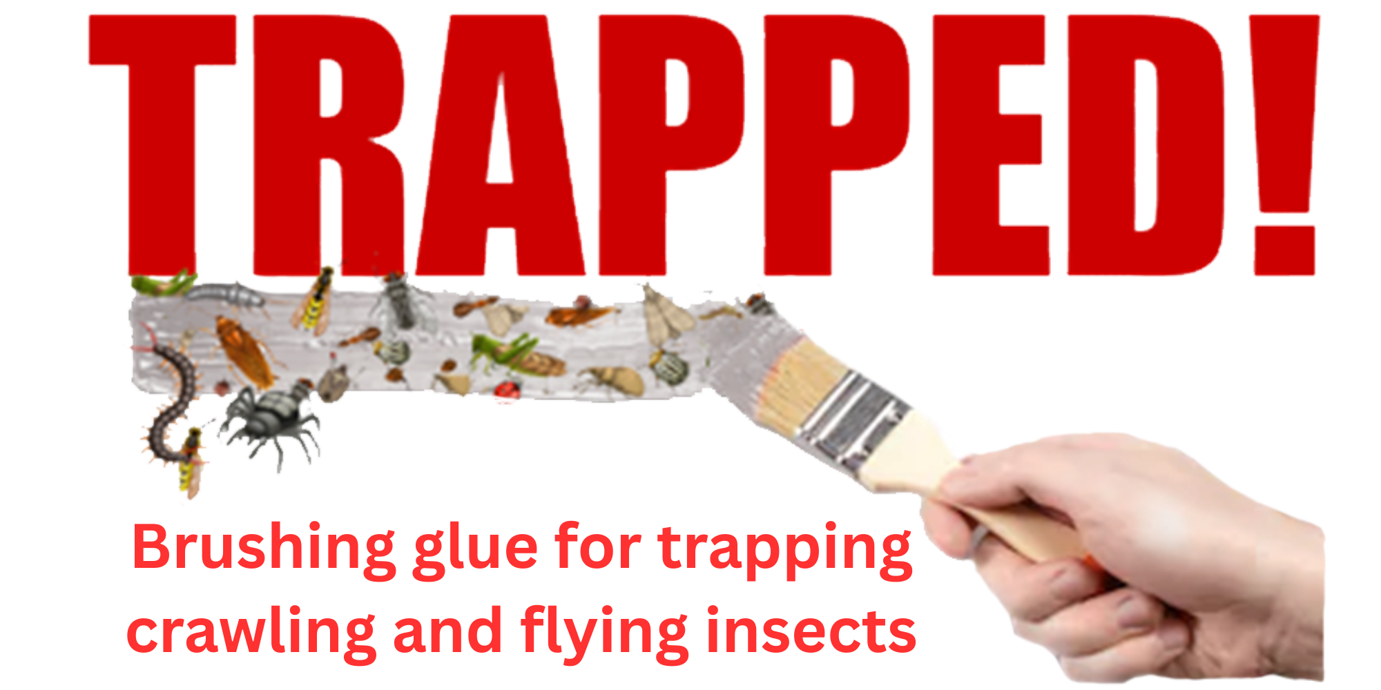 TRAPPED